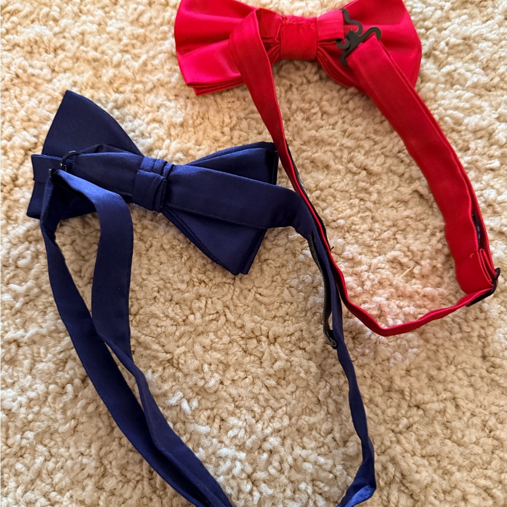 Elegant Red and Blue Bow Tie Set for Men
